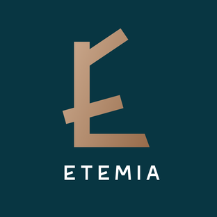 Статистика Дзен Etemia