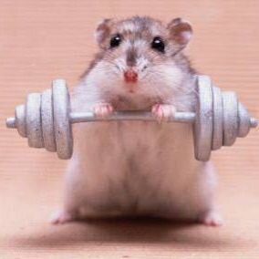 Дзен Спиридон С статистика