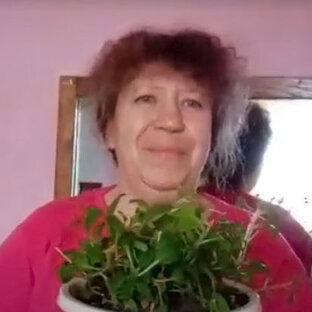 Статистика Дзен Живет село