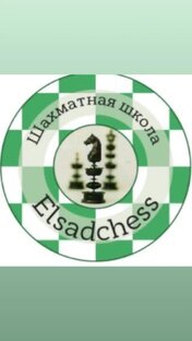 Статистика Дзен Elsadchess 