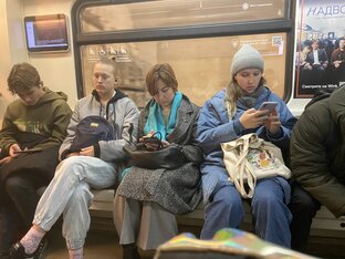 Статистика Дзен Елена Ковачич