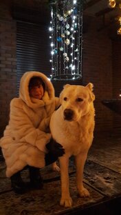 Статистика Дзен Наталия Беляева