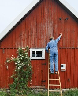 Красивые дачные участки: в чем их секрет