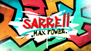 Статистика Дзен sarrell Max Power