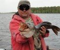 Статистика Дзен Vovabubеnec