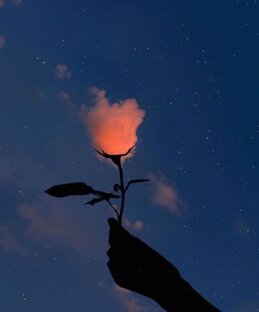 Дзен Поющая помещица статистика