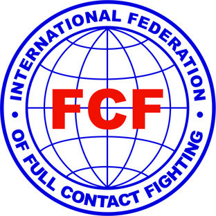 Статистика Дзен FCF-MMA