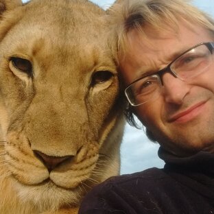 Статистика Дзен living-with-lions