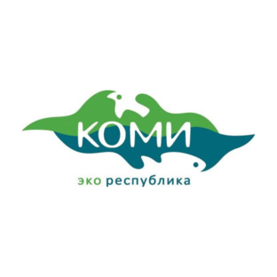 Статистика Дзен Отдыхаем в Коми