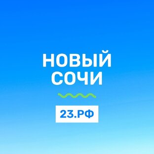 Яндекс дзен НовыйСочи23.рф - Продажа недвижимости в Сочи статистика