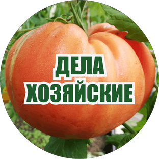 Статистика Дзен Дела Хозяйские