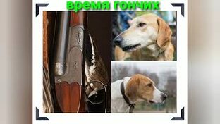 Время Гончих