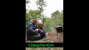 Статистика Дзен СеверЛесКоп ЖиЗнЬ МеТаЛлОкОп