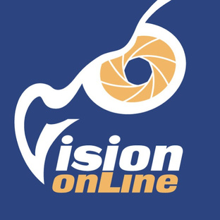 Статистика Дзен Vision Online