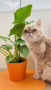 Статистика Дзен Наталья Бондаренко