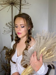 Статистика Дзен Lidiia_Wolfmann