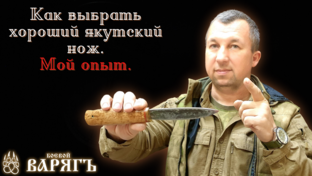 Статистика Дзен Боевой Варяг