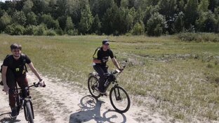 Статистика Дзен ВелоСанчо