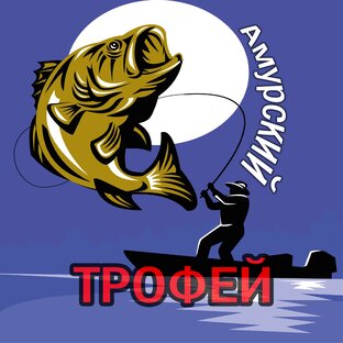 Статистика Дзен Амурский ТРОФЕЙ 