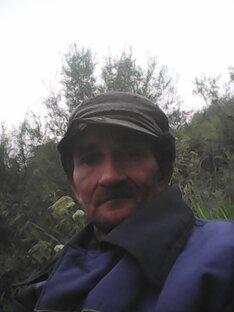 Статистика Дзен Никола Рыбалов. 66 RUS.