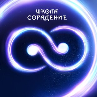 Статистика Дзен Сорадение 