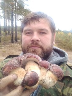 Статистика Дзен ХОЧУ В ТАЙГУ