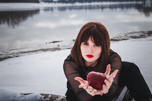 Статистика Дзен Алёна Таро