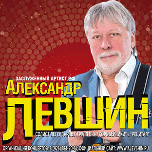 Статистика Дзен Александр Левшин