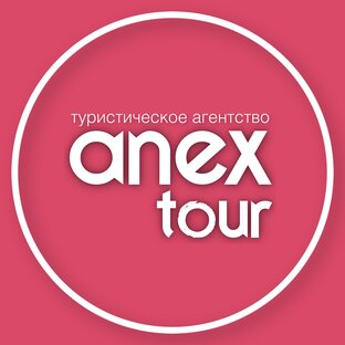Статистика яндекс дзен Турагентство Anex Tour