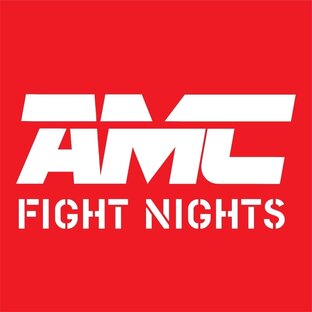 Статистика яндекс дзен AMC FIGHT NIGHTS
