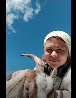Статистика Дзен Машкино подворье 