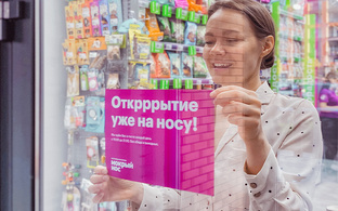 Статистика Дзен Мокрый нос | франшиза зообизнеса