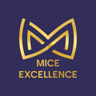 Статистика Дзен MICE Excellence