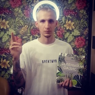 Статистика Дзен Succultura 