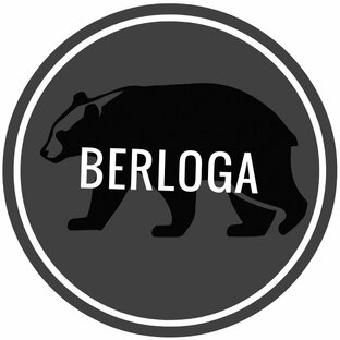 Дзен Pavel_Berloga статистика