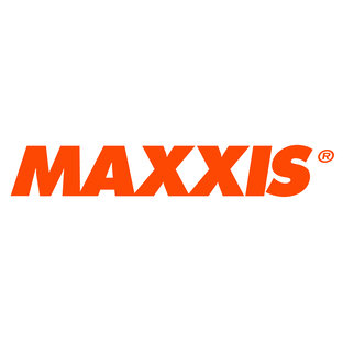 Статистика Дзен MAXXIS RUSSIA