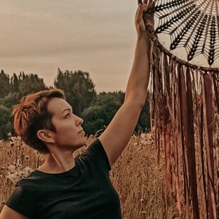 Статистика Дзен Нешаманка / ловцы снов