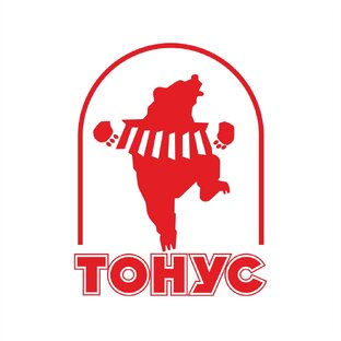 Статистика Дзен ТК "ТОНУС"