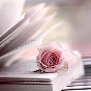 Дзен Изба - читальня статистика