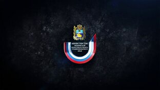 Статистика Дзен Минспорт Ставропольского края