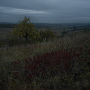 Статистика Дзен photo.alarionov.pro