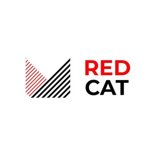 Статистика яндекс дзен Red Cat