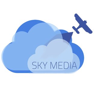 Статистика Дзен SKYMEDIA