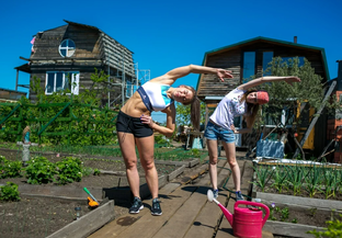 Дзен Здоровая сельская жизнь статистика