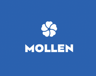 Статистика Дзен MOLLEN