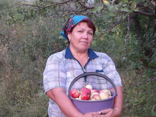 Статистика Дзен НАДЕЖДА, Сельская жизнь.