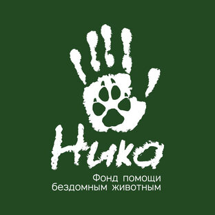 Статистика Дзен Фонд помощи животным «Ника»