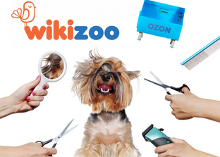 Дзен WIKIZOO.RU - товары для груминга и ветеринарии статистика