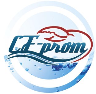 Дзен Василий Разгоняев Cf-prom статистика
