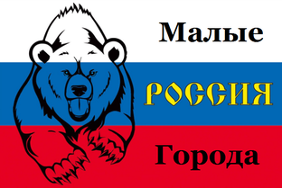 Дзен Малые города России статистика